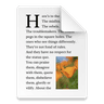 Document